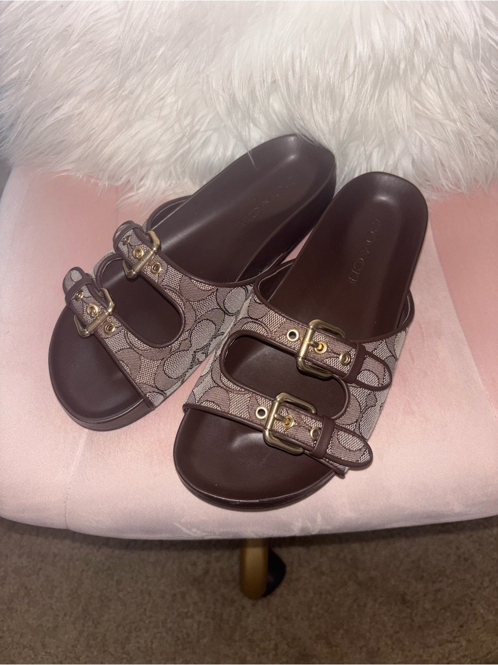 Coach Brown Signature Double-Buckle Slide Sandals with Gold Hardware - Picture 2 of 6